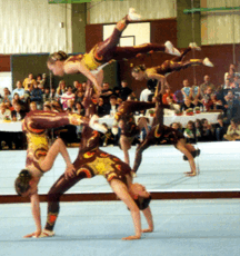 zum vergrssern hier klicken